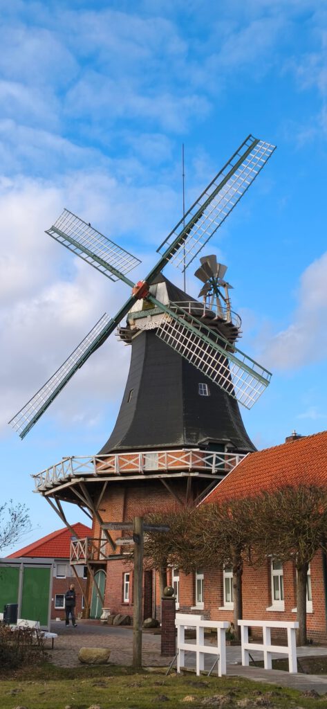 645618318 1723598905699274 8719441462304750671 n