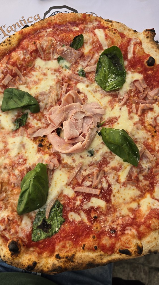 647680043 1723289882396843 4496632411323759832 n