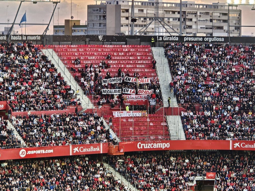 650904139 1730025941723237 9207092199897107542 n