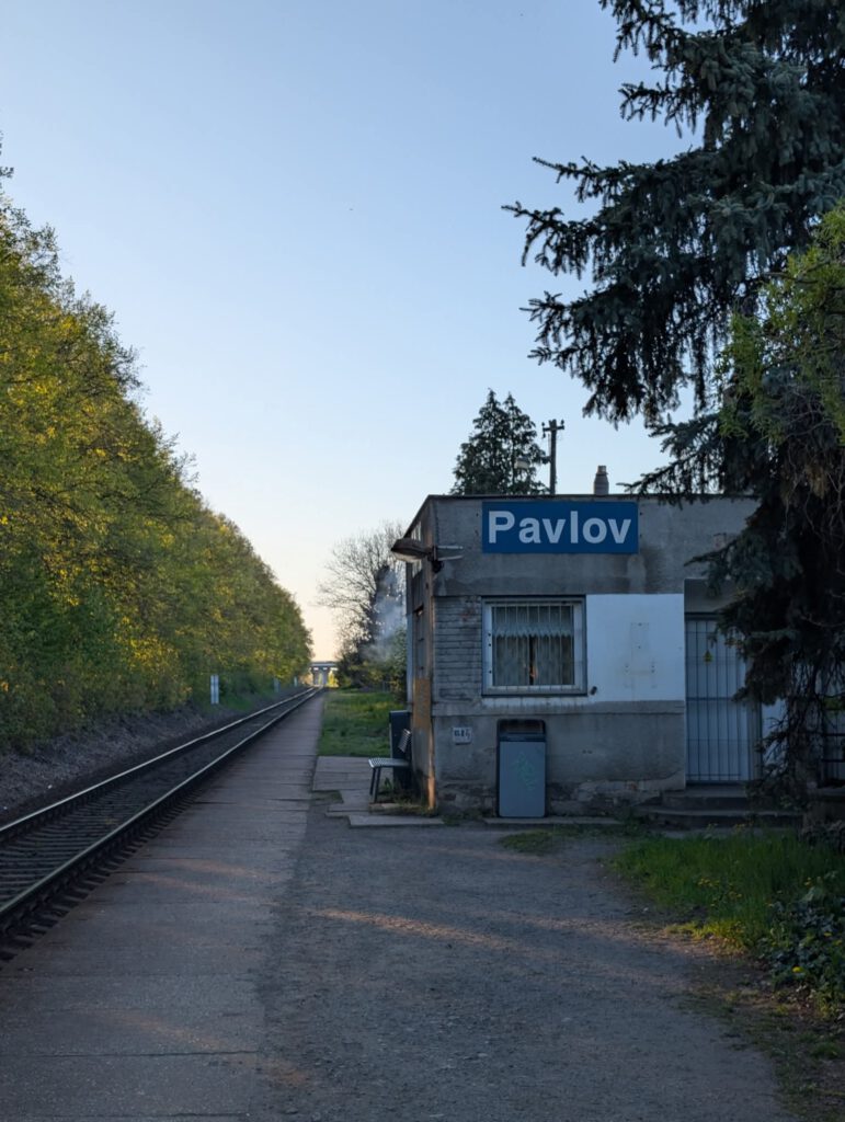 259334