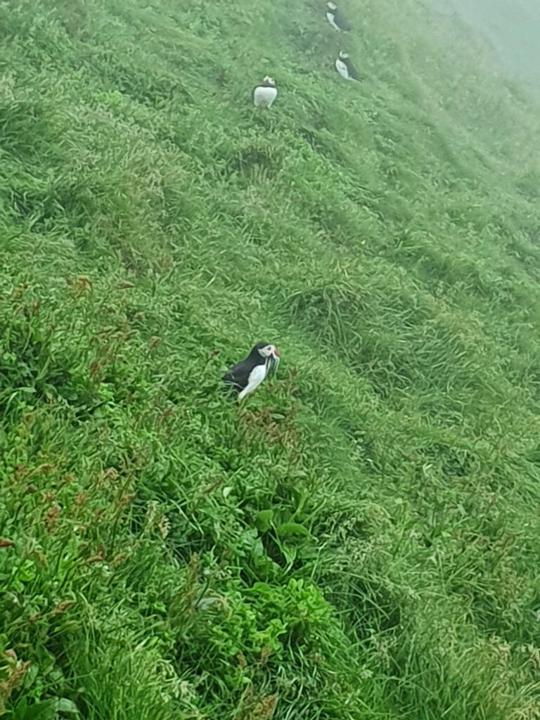 IMG 20260804 WA0037